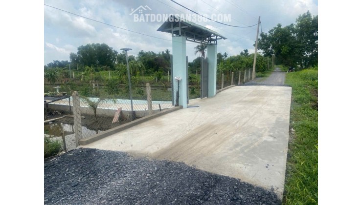 Đất Vuông SHR HXH 2798m2 – Đông Thạnh 2 Hóc Môn